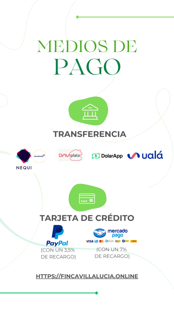 Historia Instagram Medios de Pago Minimalista Beige
